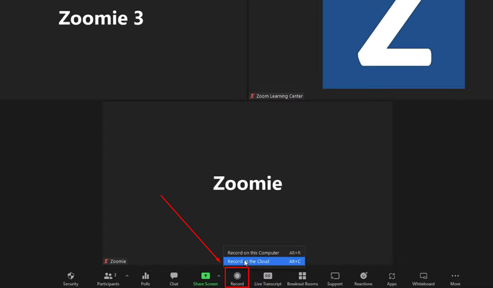 cach-record-tren-zoom-3