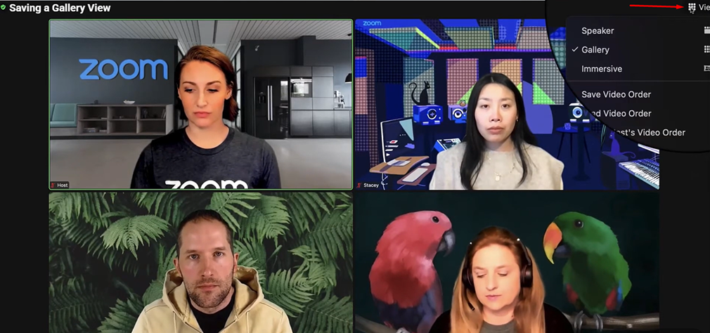 luu-gallery-view-trong-zoom-5