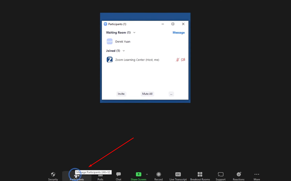 quan-ly-nguoi-tham-gia-tren-zoom-5